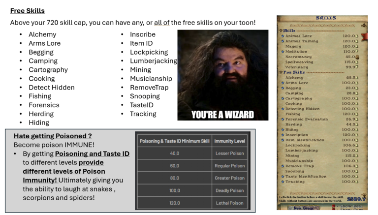 nooblet10-768x437.png